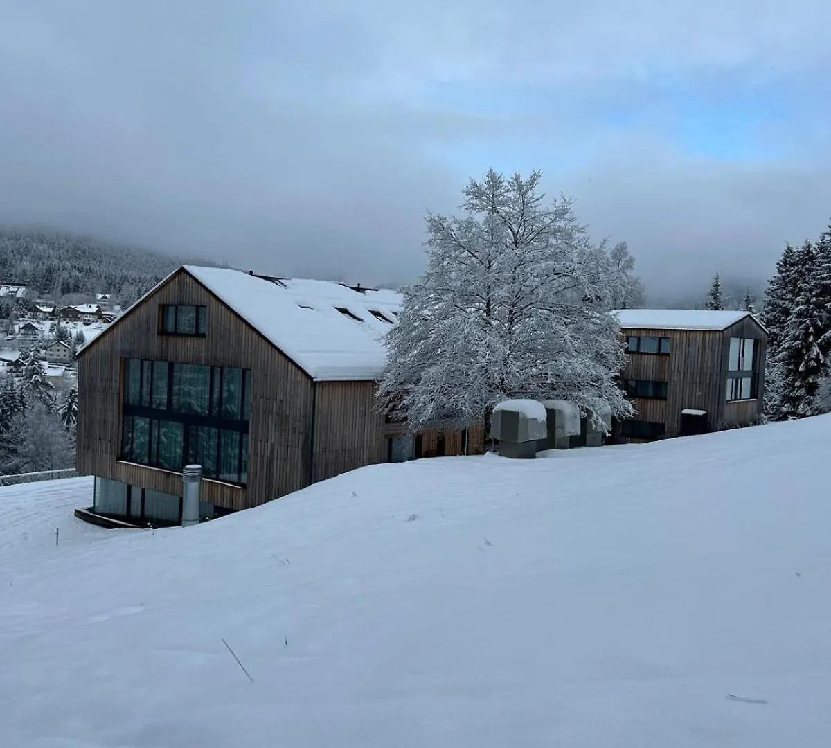 Rezidence Alpina Apartment Spindleruv Mlyn 0*,  Czech Republic